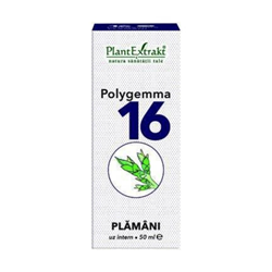 Imagine PLANTEXTRAKT POLYGEMMA 16 PLAMANI 50ML