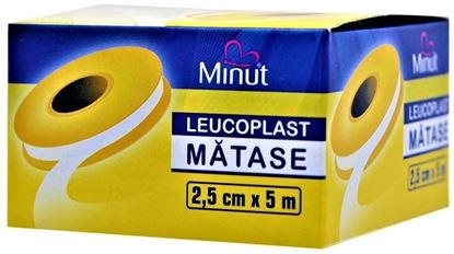 Imagine MINUT LEUCOPLAST MATASE 2.5CM/5M X 1 ROLA